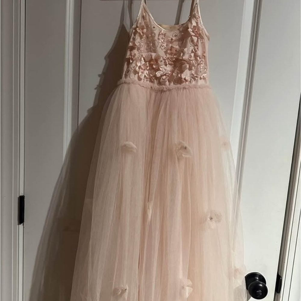 Tutu Du Monde Blush Floral Tulle Dress